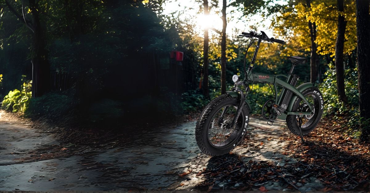 Biciclette elettriche TAM BIKE Gruppo FT