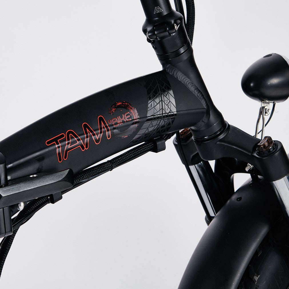 Electric Bicycle Pedelec 500W, 48V black with red logo