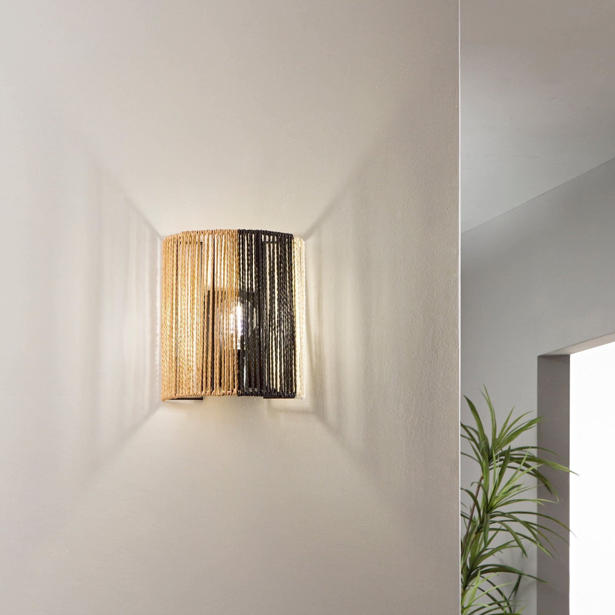 Applique Coconut in carta | FT Feel The