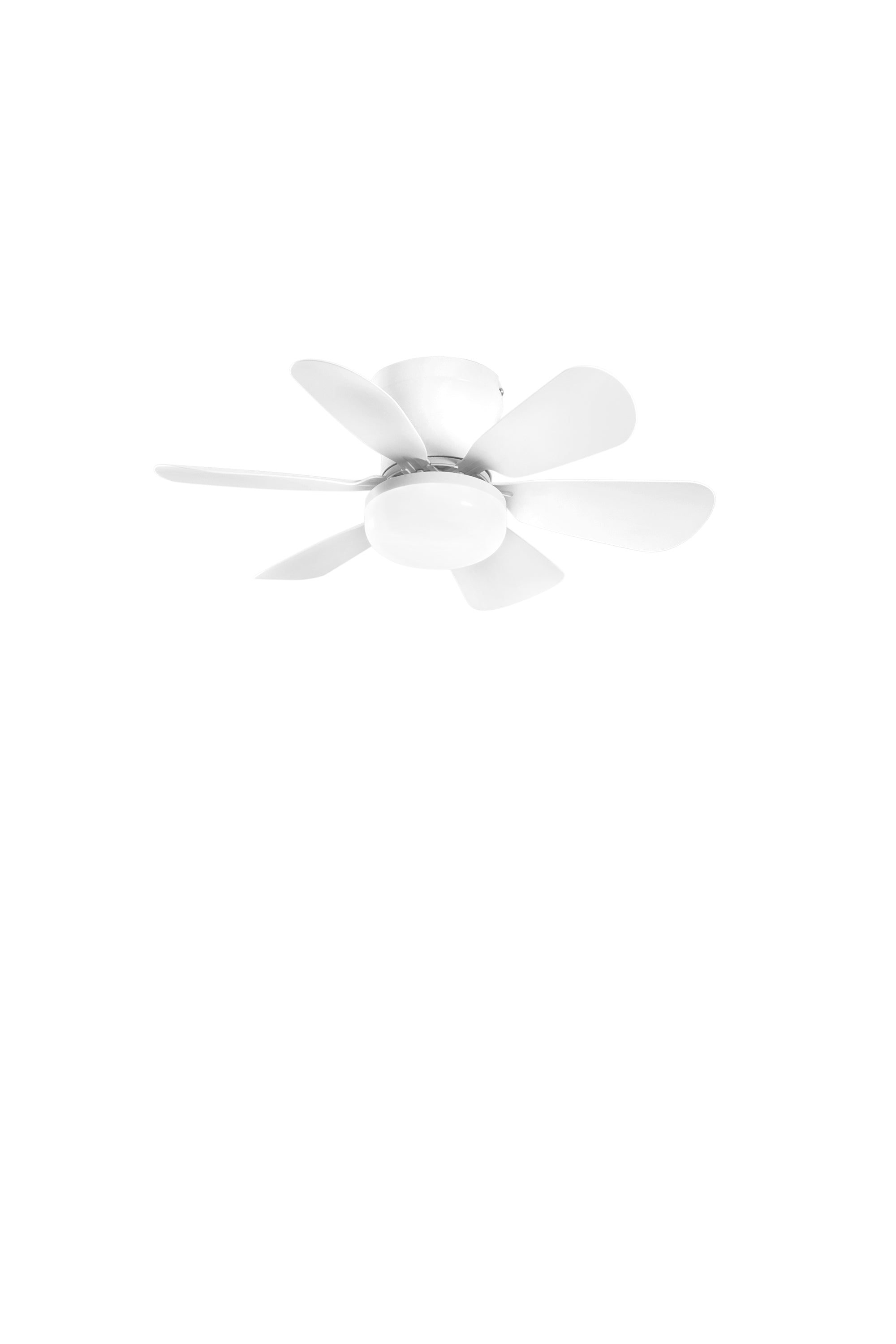 Plafoniera con ventilatore WIND | FT Feel The