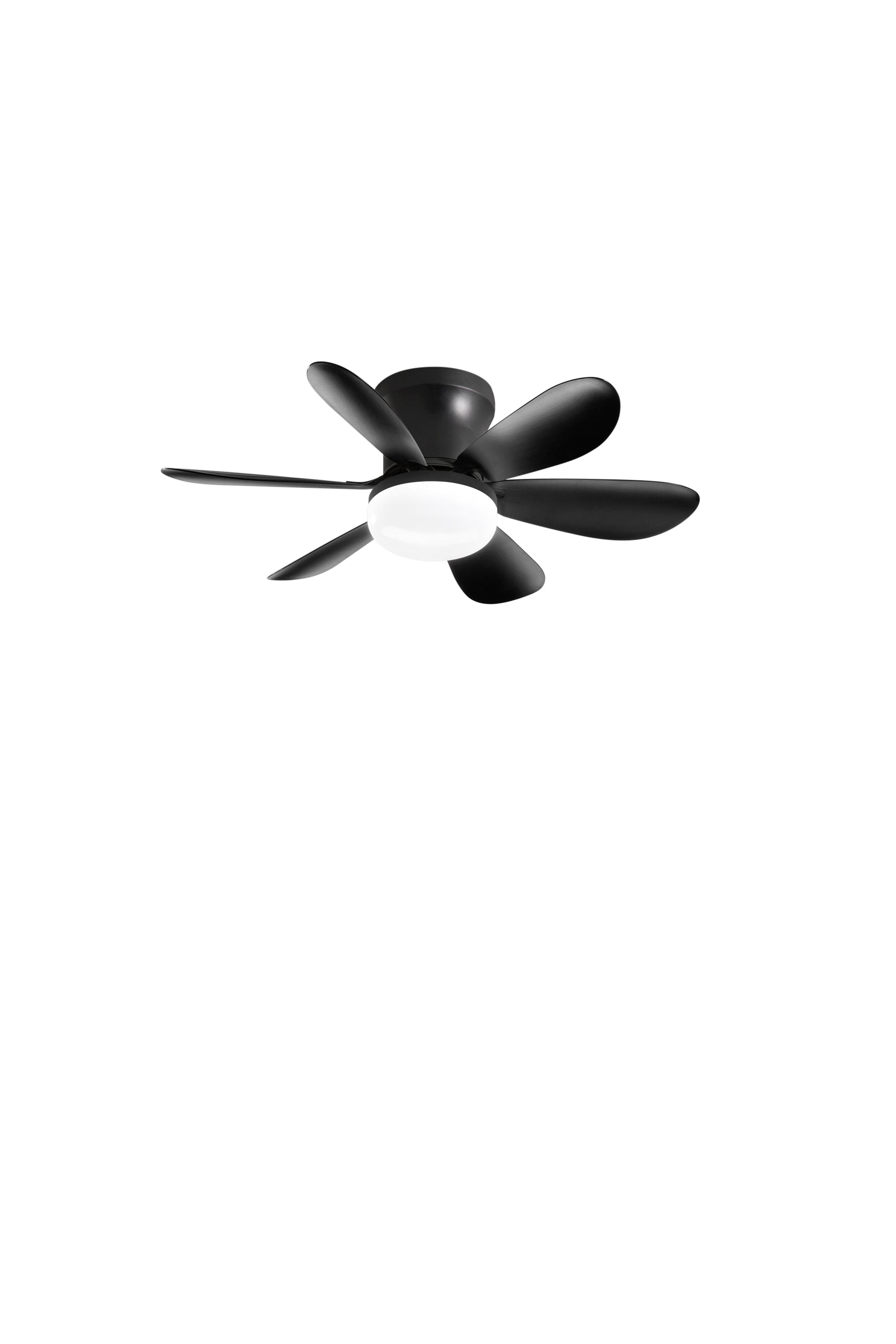 Plafoniera con ventilatore WIND | FT Feel The