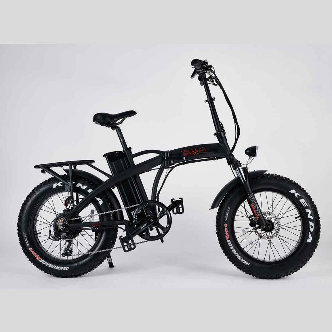 Bicicletta Elettrica Pedelec 500W,48V nera con logo rosso