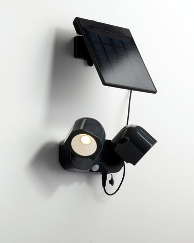 Projecteur d'extérieur Cosmo LED 1W SMD, avec panneau solaire inclus et  détecteur de mouvement réglable intégré