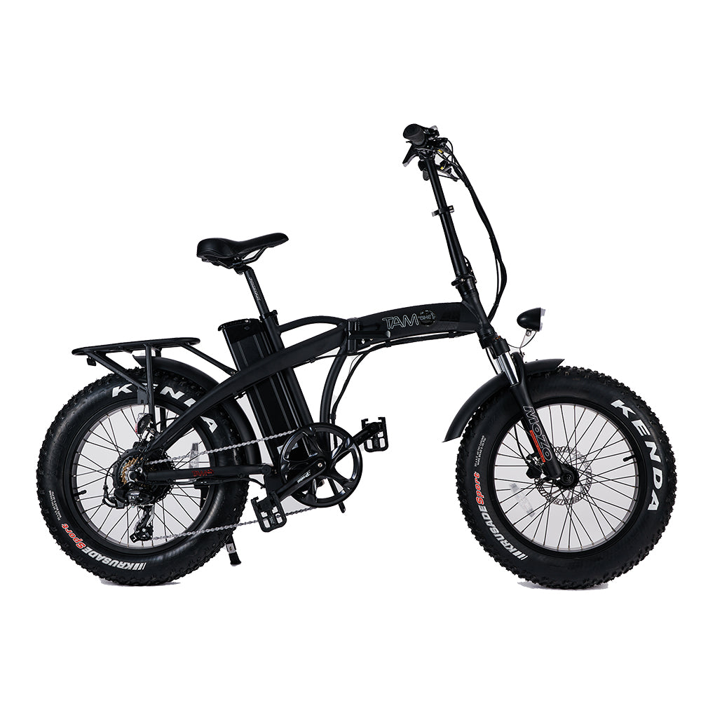 Bicicletta Elettrica Pedelec 250W,36V nera con logo bianco