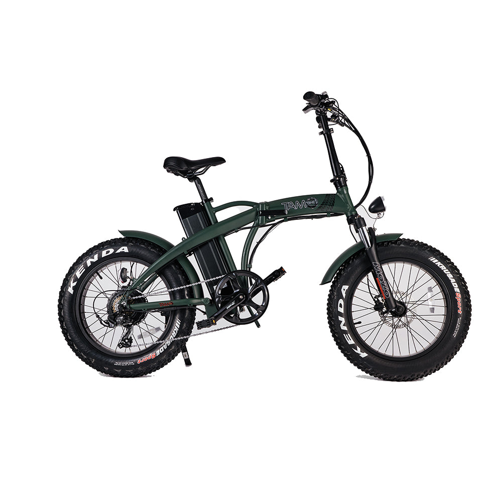 Bicicletta Elettrica Pedelec 250W,36V verde militare con logo bianco